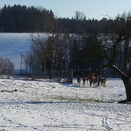 Pension Weinbauer Hofkirchen im Traunkreis Luaran gambar
