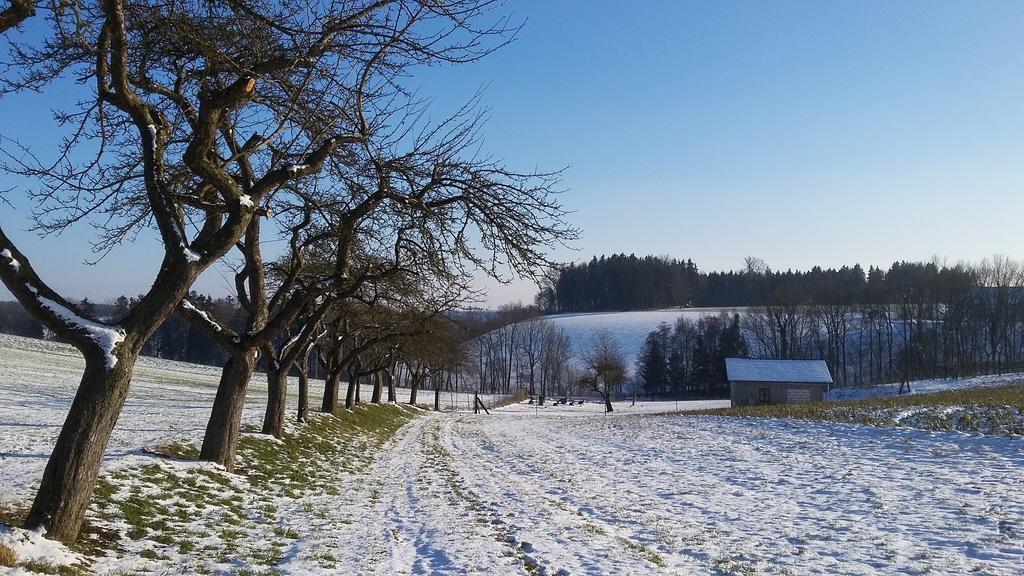 Pension Weinbauer Hofkirchen im Traunkreis Luaran gambar